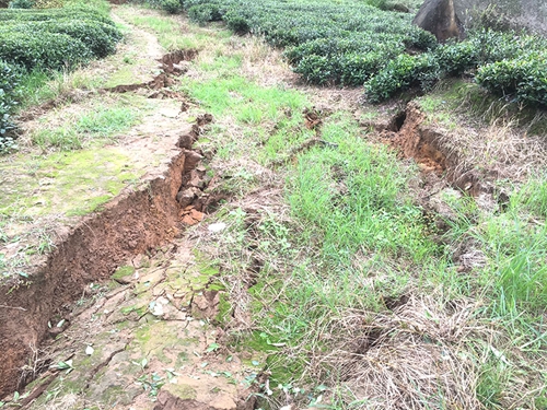 自贡荣县山体崩塌180人成功避险智能神器立功(图4)