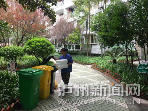 泸州创文：泸州垃圾投放进入“分类”模式(图1)
