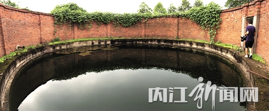 内江城区：首次发现“水中大熊猫”桃花水母