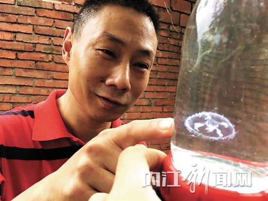内江城区:首次发现“水中大熊猫”桃花水母(图3) 内江城区:首次发现“水中大熊猫”桃花水母(图3)