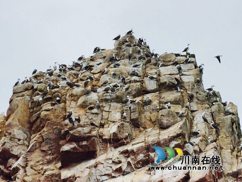 陈大刚：与中国“沾亲带故”的秘鲁(图16)