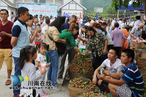 香甜桂圆引人来!泸县第六届桂圆节走进海潮(图2) 香甜桂圆引人来!泸县第六届桂圆节走进海潮(图2)