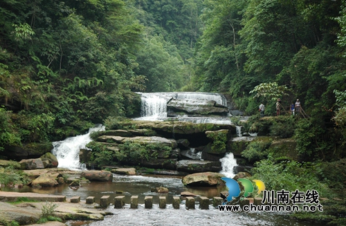 古蔺黄荆老林上榜四川六大精品旅游线路 (图1) 古蔺黄荆老林上榜四川六大精品旅游线路 (图1)
