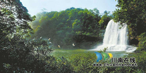 古蔺黄荆老林上榜四川六大精品旅游线路 (图2) 古蔺黄荆老林上榜四川六大精品旅游线路 (图2)