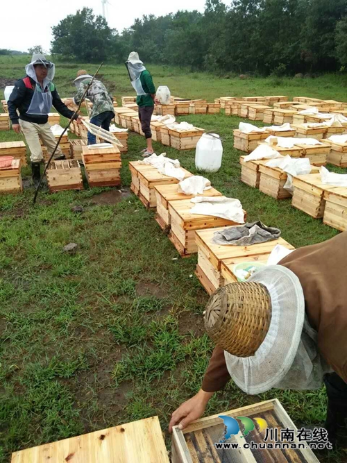 望谟县大观镇养蜂基地　接起扶贫“第一棒”