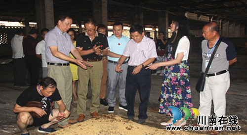 泸州文化经济名家看江阳 邻玉白酒小镇窖酒香(图6) 泸州文化经济名家看江阳 邻玉白酒小镇窖酒香(图6)