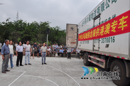 泸县举行晚熟龙眼果品出口港澳专车首发仪式(图1)