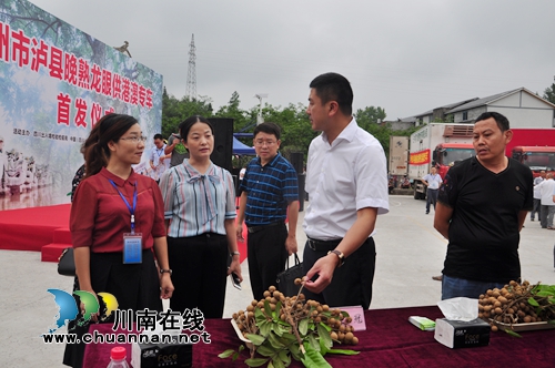 泸县举行晚熟龙眼果品出口港澳专车首发仪式(图3)