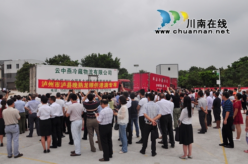 泸县举行晚熟龙眼果品出口港澳专车首发仪式(图5)