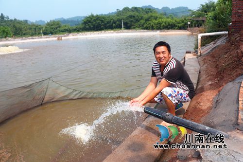 告别靠天养鱼 泸州最大黄辣丁养殖基地赚翻了(图2) 告别靠天养鱼 泸州最大黄辣丁养殖基地赚翻了(图2)