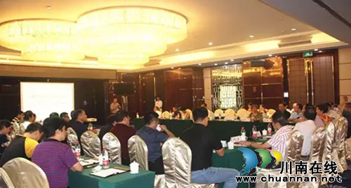 泸州:全国文化名家与产业专家共话川江发展(图3) 泸州:全国文化名家与产业专家共话川江发展(图3)