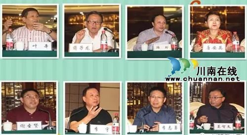 泸州:全国文化名家与产业专家共话川江发展(图4) 泸州:全国文化名家与产业专家共话川江发展(图4)