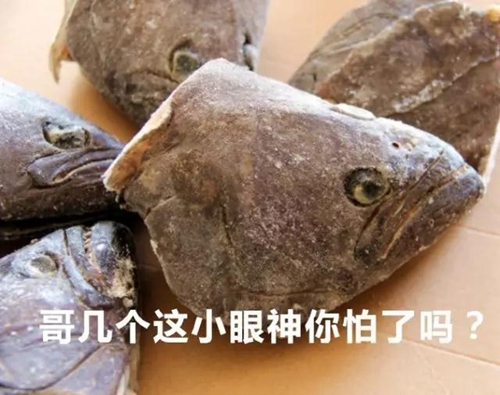 海蛎子海鲜盛宴“来袭”　挑战你的味蕾(图9)