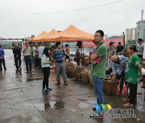 泸县潮河镇规范龙眼销售　推动省卫创建