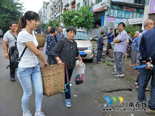 泸县潮河镇规范龙眼销售 推动省卫创建(图1) 泸县潮河镇规范龙眼销售 推动省卫创建(图1)
