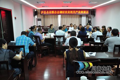 泸县企业联合会召开农业相关产业座谈会(图1)
