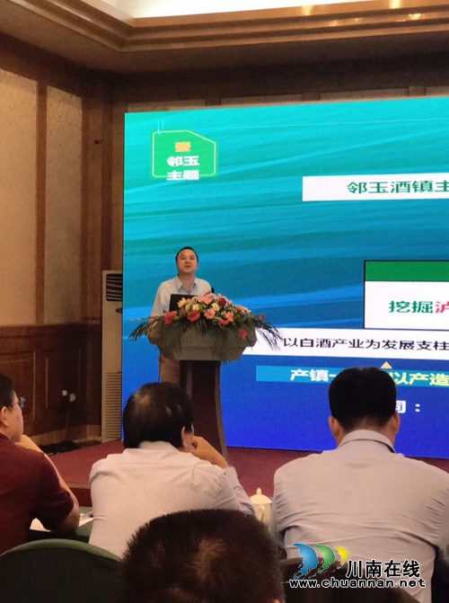 名家看江阳　锐智点睛行(图7)