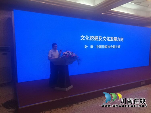 名家看江阳　锐智点睛行(图10)