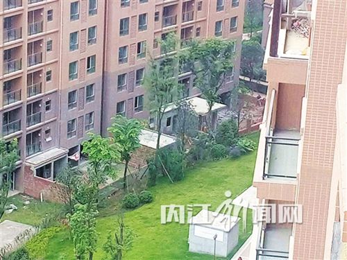 内江:两名“物管”劝阻小区违章搭建被殴打(图3) 内江:两名“物管”劝阻小区违章搭建被殴打(图3)
