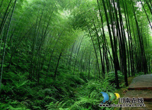 李定林：晒秋阳(图2)