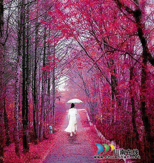李定林：晒秋阳