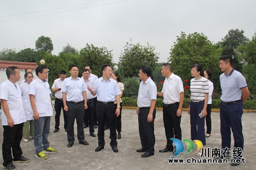 泸州市委副书记、市长刘强率队调研云龙镇全民预防保健工作(图3)