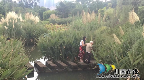 李定林:众手浇开文明花(图3) 李定林:众手浇开文明花(图3)