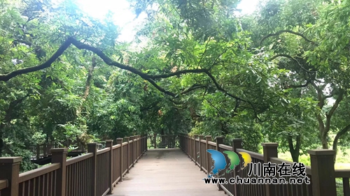 李定林:众手浇开文明花(图4) 李定林:众手浇开文明花(图4)