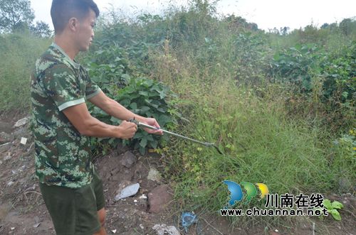 泸县村民家中惊现蛇影&nbsp;应急队员捉蛇解忧