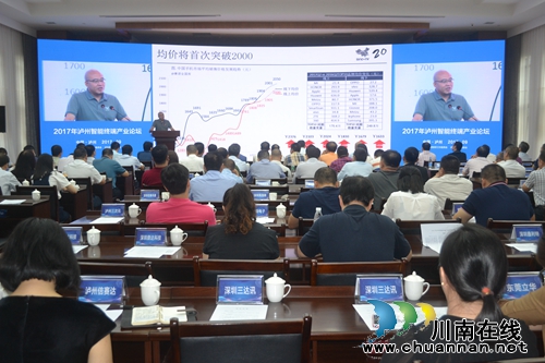 泸州智能终端产业论坛在泸州国家高新区举行(图6)
