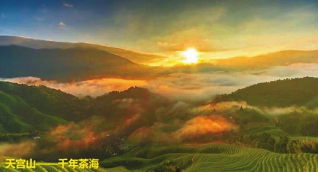 历时一年半 宜宾县拍摄唯美宣传片(图1) 历时一年半 宜宾县拍摄唯美宣传片(图1)