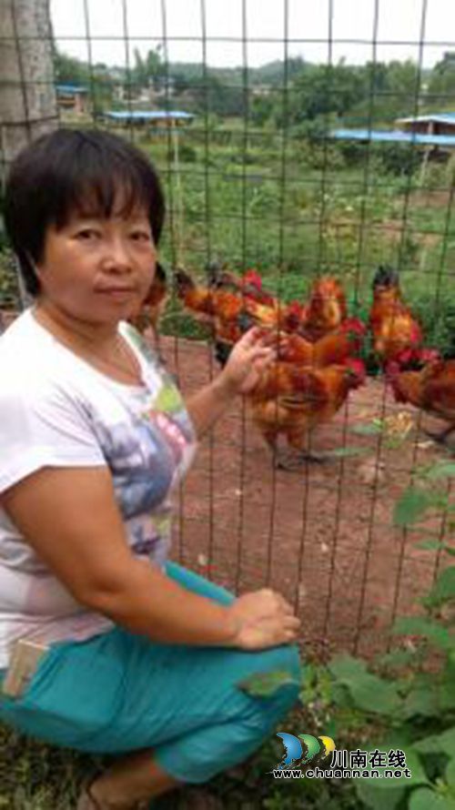 泸州下岗女工&nbsp;“孤军”打造美食“土匪鸡”