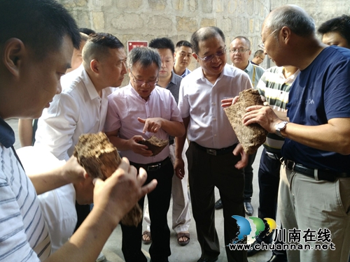 顶级专家“望闻问切” 年份潭酒四度登场(图11) 顶级专家“望闻问切” 年份潭酒四度登场(图11)