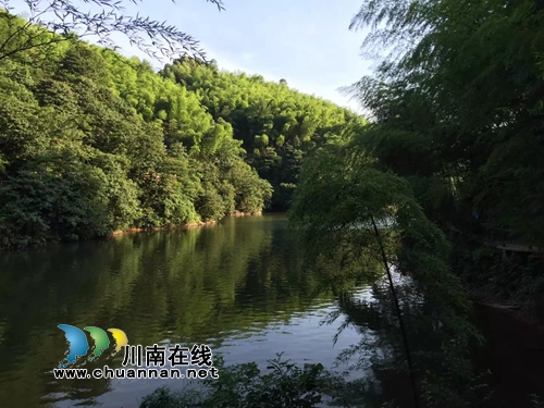 徐乾：盛夏de天鹅湖(图3)