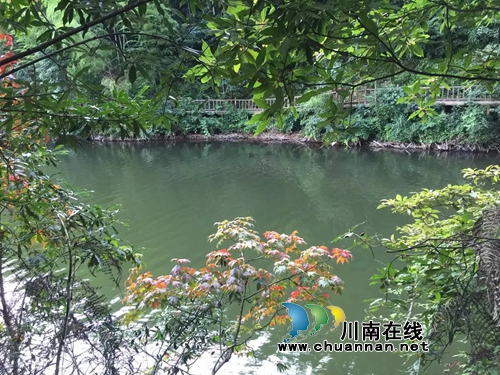 徐乾：盛夏de天鹅湖(图4)