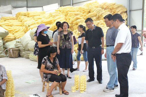 我为扶贫做件事！泸州市政协委员在行动(图1)