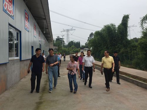 我为扶贫做件事！泸州市政协委员在行动(图16)