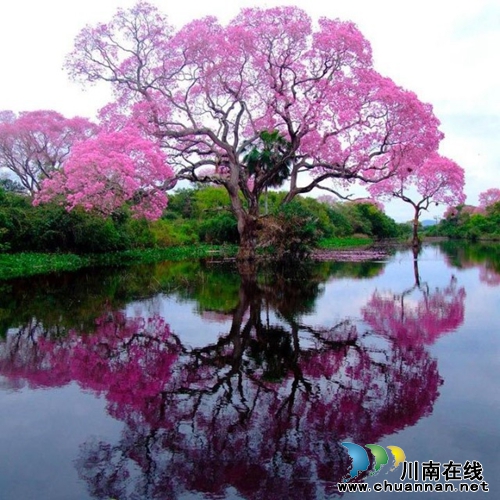 李定林：秋雨