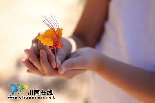 西海情歌：徒步城市(图4)