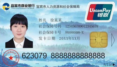 办理程序化繁为简&nbsp;宜宾社保卡办理立等可取(图1)
