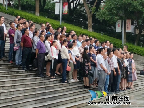 泸州第八届长江奇石文化节：&nbsp;珍品多场面火爆！(图1)