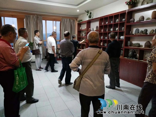 泸州第八届长江奇石文化节：&nbsp;珍品多场面火爆！(图4)