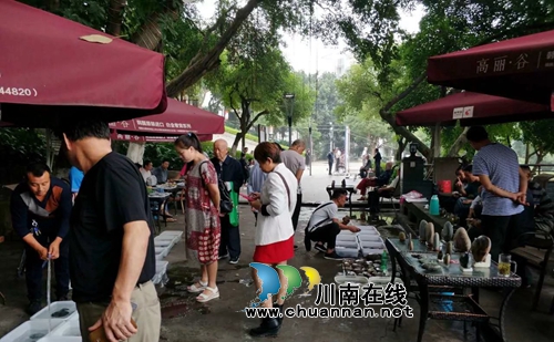 泸州第八届长江奇石文化节：&nbsp;珍品多场面火爆！(图5)