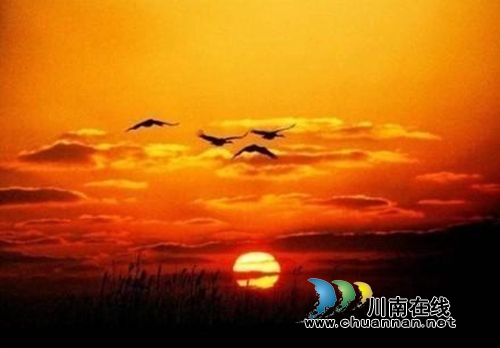 姜维彬:红是最灿烂的颜色(泸州诗人)(图3) 姜维彬:红是最灿烂的颜色(泸州诗人)(图3)