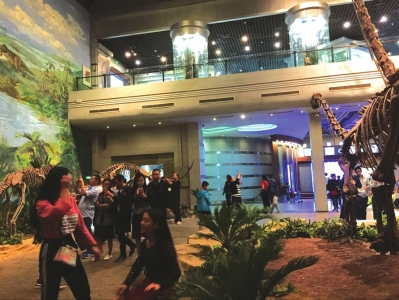 自贡旅游景点火爆 盐、龙、灯主题旅游崛起(图1) 自贡旅游景点火爆 盐、龙、灯主题旅游崛起(图1)