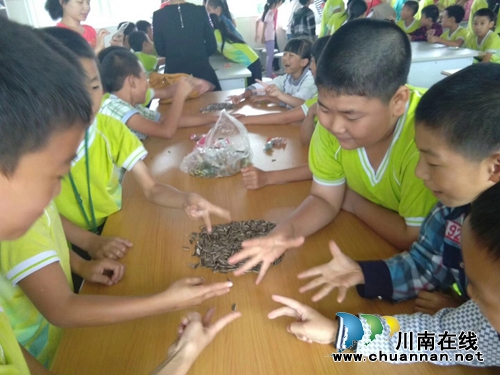 宜宾罗龙实验小学开展关爱留守儿童活动(图3) 宜宾罗龙实验小学开展关爱留守儿童活动(图3)