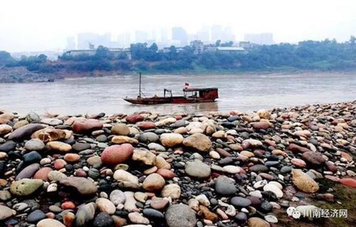 景画泸州:感受江阳雅生活N个看点(图15) 景画泸州:感受江阳雅生活N个看点(图15)