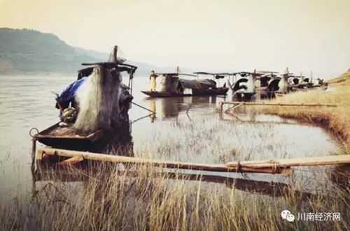 景画泸州:感受江阳雅生活N个看点(图25) 景画泸州:感受江阳雅生活N个看点(图25)