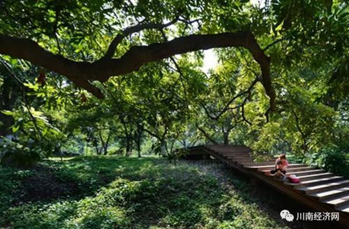 景画泸州:感受江阳雅生活N个看点(图27) 景画泸州:感受江阳雅生活N个看点(图27)