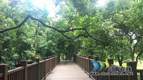 张三醉:春之声(图1) 张三醉:春之声(图1)